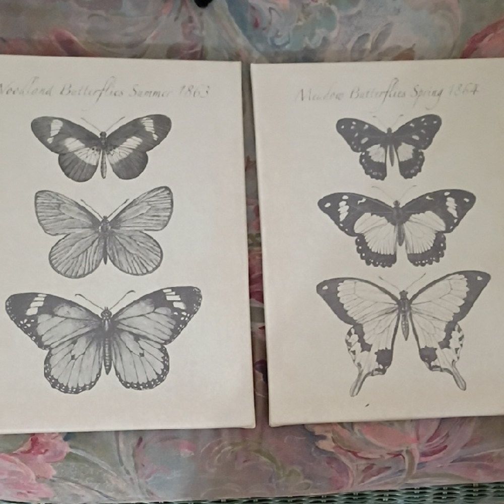 Butterfly Canvas Wall Art Set